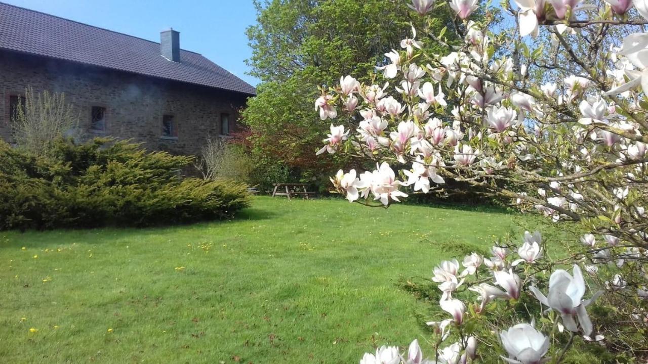 Gouvy Les Glycines 빌라 외부 사진